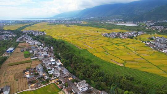 航拍大理苍山脚下农村生态河道