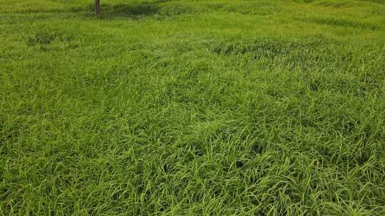 二里头夏都遗址博物馆