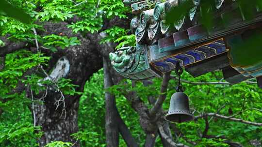 中国风古典园林屋檐与绿色植物树叶