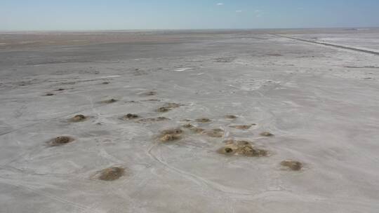 新疆塔里木盆地盐碱地荒野自然风光