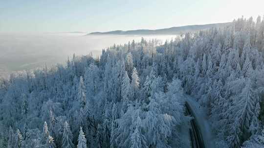 穿过冬日森林的公路