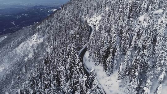 一辆汽车在雪山边的沙漠公路上行驶的鸟瞰图