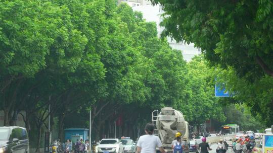 台风天街道车流马路风吹树叶大风天气灾害