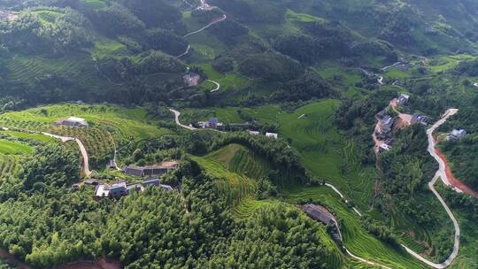 遂川梯田