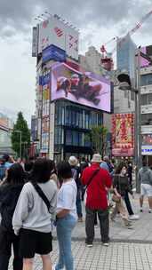 猫日本拥挤的东京