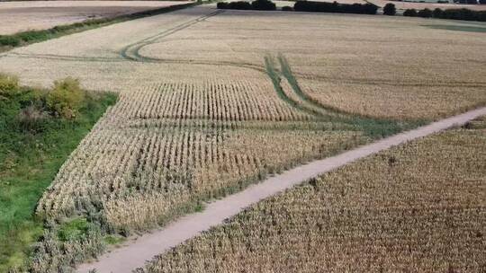 无人机拍摄的农田