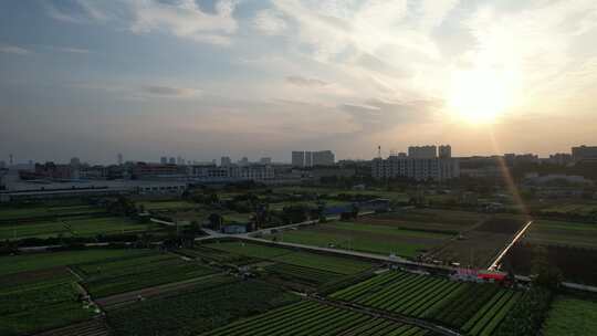 夕阳下的城郊农业基地航拍