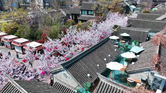 春天古建筑樱花与灯笼航拍徐州市回龙窝历史