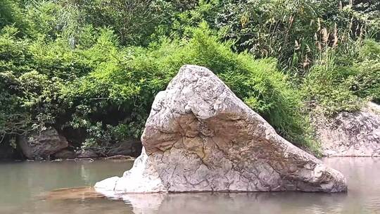 原此森林里面的小溪风景