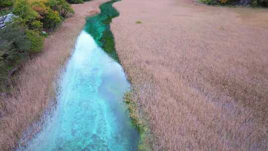 唯美航拍川西九寨沟芦苇海河流湿地湖水彩林