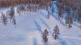 航拍雪原松林风景高清在线视频素材下载