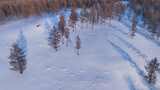 航拍雪原松林风景高清在线视频素材下载