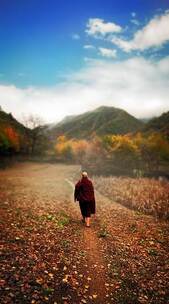 春潮灯夜 温馨 古筝 祈福 电影 纪录 春潮灯夜 温馨 古筝 祈福 电影 纪录