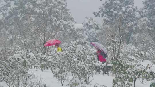 摇镜跟随，雪山中撑伞漫步的游客行人