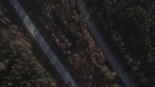 秋季森林之间的多车道高速公路视频素材模板下载