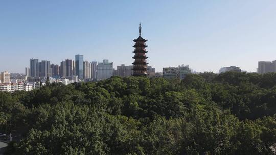 深圳 深圳龙华 龙华区 深圳市龙华区