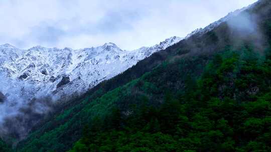 4K航拍川西阿坝州毕棚沟风光美景