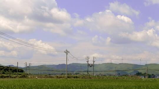 乡村蓝天白云和稻子