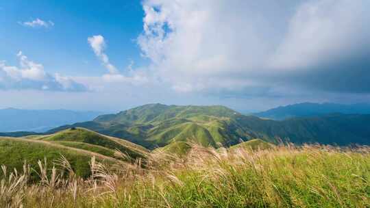 高山草甸芦苇蓝天白云延时摄影天气变化