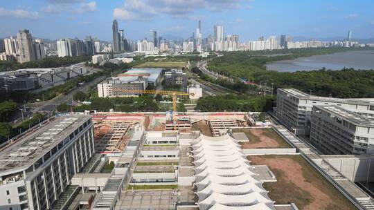 公立医院 国有医院 心血管医学 心脏外科