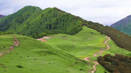 航拍四姑娘山大峰登山大本营夏季草原景色