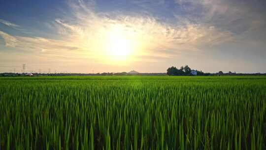 乡村田园风光与远山夕阳风景