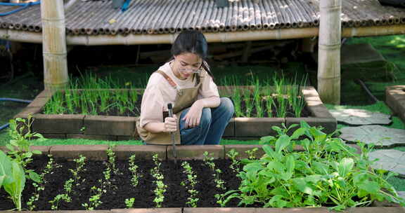 亚洲妇女专注于种植在种植蔬菜的高架花园床