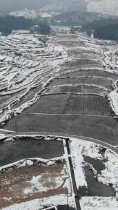 竖版航拍南方乡村田园农田梯田雪景