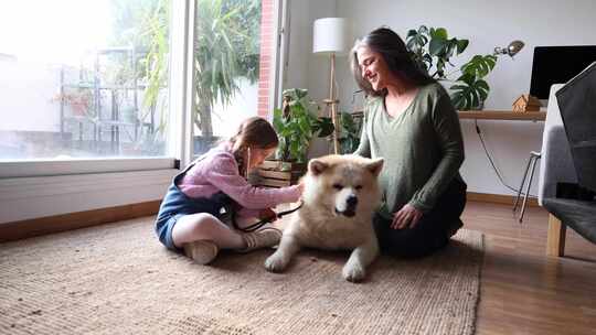 孙女和祖母带着狗在家玩兽医听狗说话