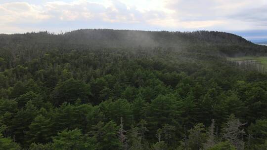 4K高清航拍原始森林素材
