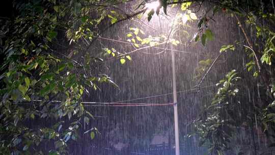 大雨的夜晚路灯树下照亮的雨丝视频素材模板下载