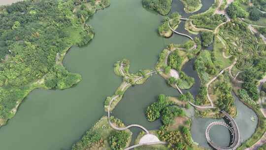 城市绿化植物眉山东坡城市湿地公园航拍