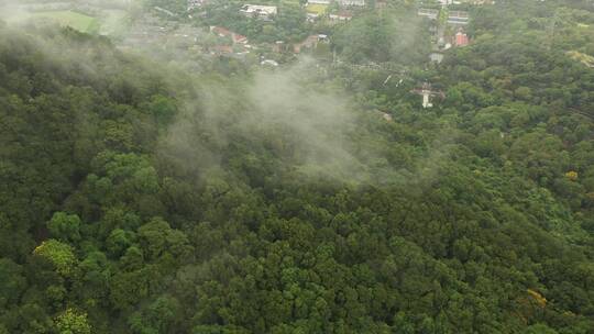 杭州玉皇山