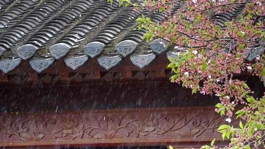 春雨 谷雨 清明 惊蛰 下雨空镜