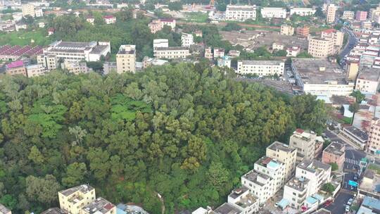 航拍深圳龙华区观澜现代化城市建设