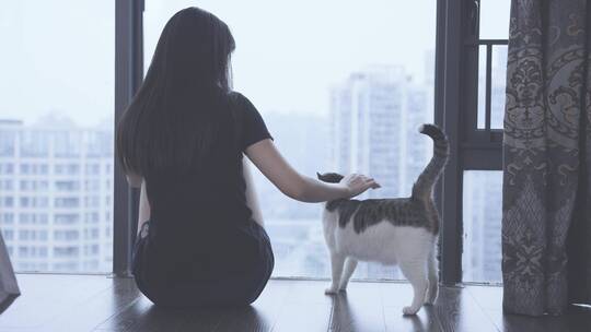 女孩坐在窗边和猫咪玩耍的背影4k视频素材