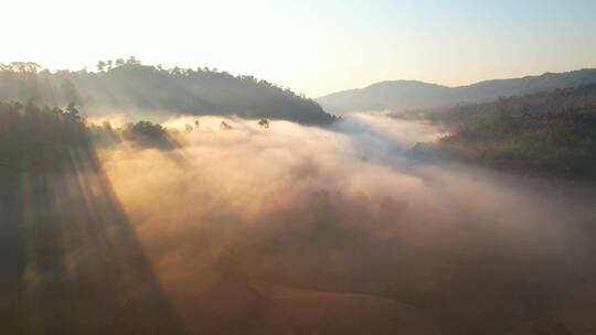 清晨森林中雾蒙蒙的日出鸟瞰图