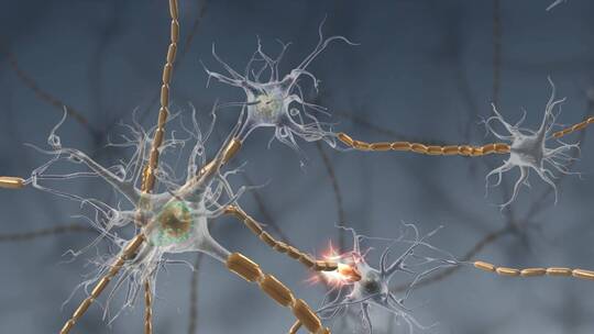 微观生物神经元神经细胞系统