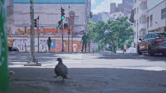 巴西圣保罗城市街头人文视频视频素材模板下载