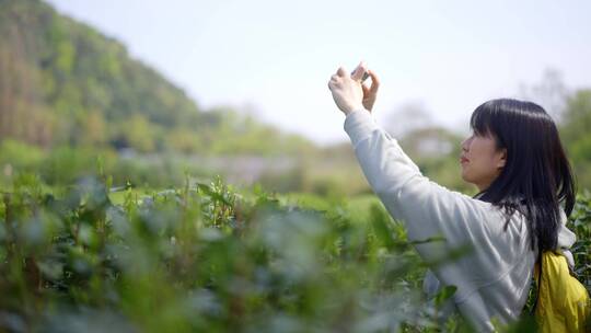 年轻阳光活力女孩春天户外踏青游玩刷手机