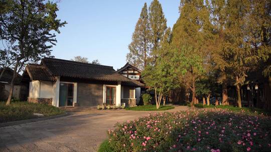 杭州西湖十景茅家埠水乡风景