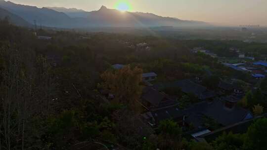 西安古观音禅寺千年银杏树