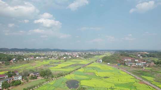 湖南衡山县萱州古镇乡村田野油菜花航拍4k