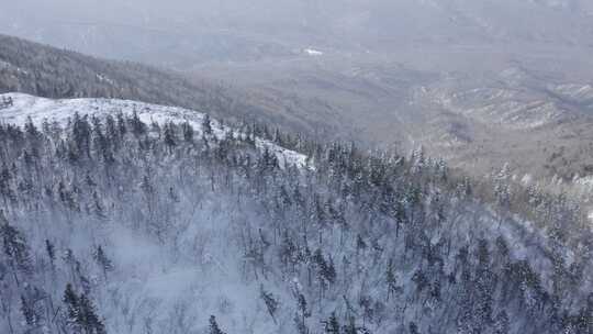 航拍黑龙江亚布力滑雪场冬季风光