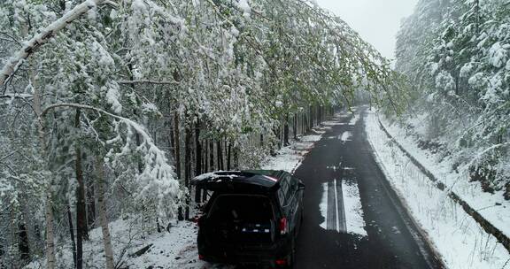 航拍森林冰雪