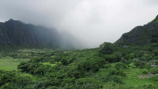 山谷里浓雾弥漫