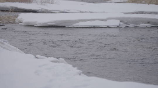 冰雪河岸湍急流水平移全景4k100帧灰片