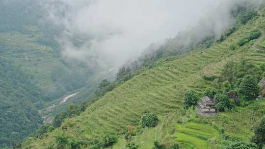 水稻梯田，山，房子，树