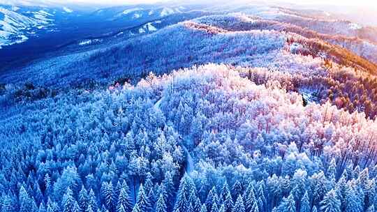 东北长白山冰雪林海雾凇森林雪景自然风景