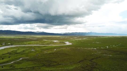 理塘大草原、高原湿地、纯粹美景3